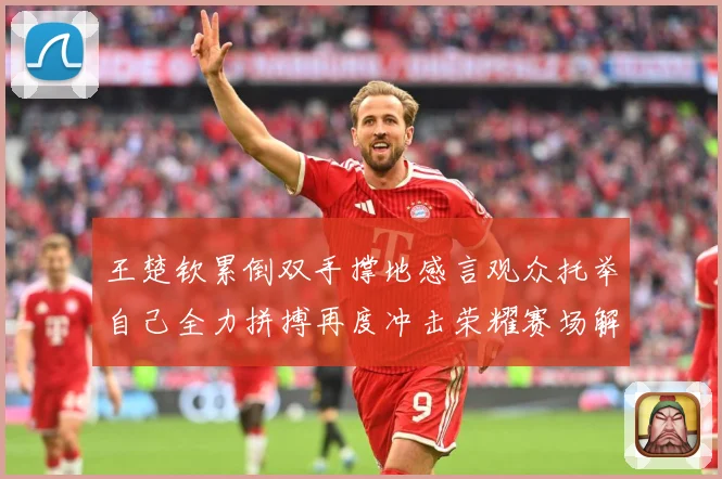 王楚钦累倒双手撑地感言观众托举自己全力拼搏再度冲击荣耀赛场解读-深度解析